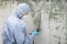 Best Commercial Mold Inspection  in Las Quintas Fronterizas, TX